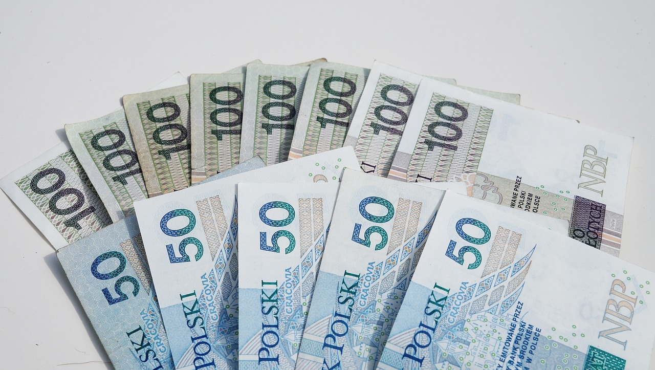 Zdjęcie wpisu: /wp-content/uploads/2025/01/Najnizsza-krajowa-2025-ile-wynosi-i-jak-wplywa-na-gospodarke.jpg